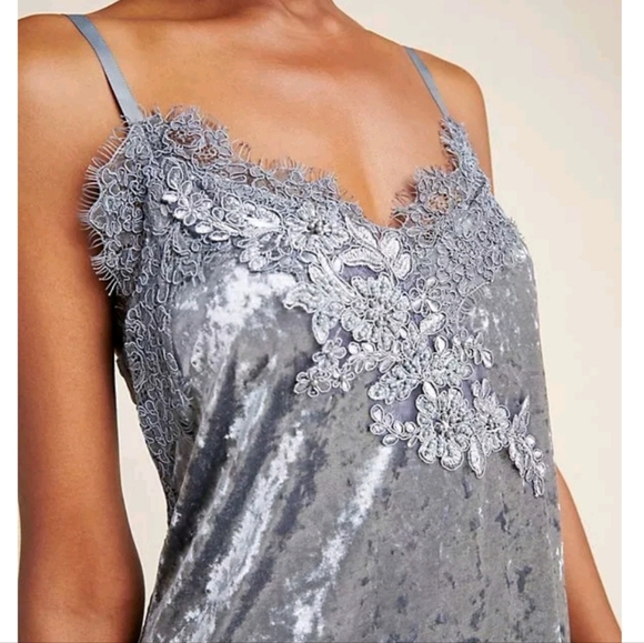 NWT Anthropologie Tessie Grey Velvet Lace Embroidered Sleeveless Slip Dress Sz M - Picture 3 of 16